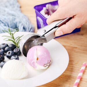 Cuillere boule a glace 5